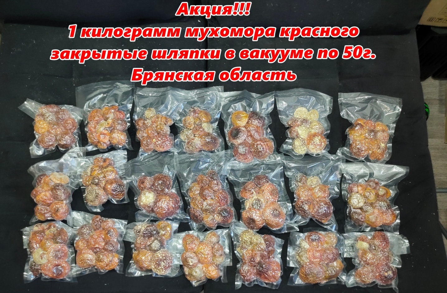 Продвижение мухомора красного